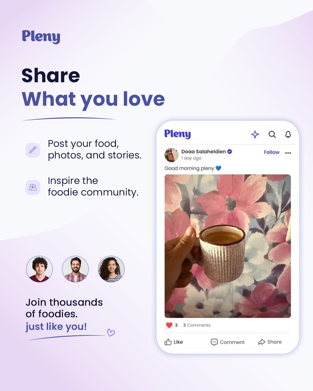 Pleny Social Media Launch Visuals gallery image
